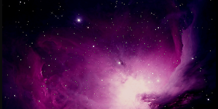 806x1280 M42 Orion Nebula Purple mobile phone wallpaper 1200x1920