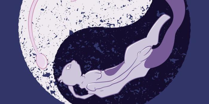 780x1024 Mewtwo Iphone Wallpaper posted by Ryan Mercado