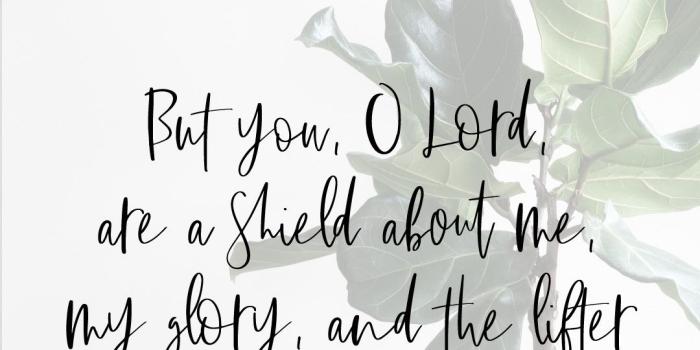 1080x1920 82+ Bible Verse Wallpapers on WallpaperPlay