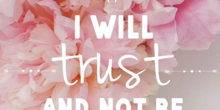 736x1203 Wallpaper Iphone Tumblr Quotes Mobile Phone Hd Wallpaper - Bible