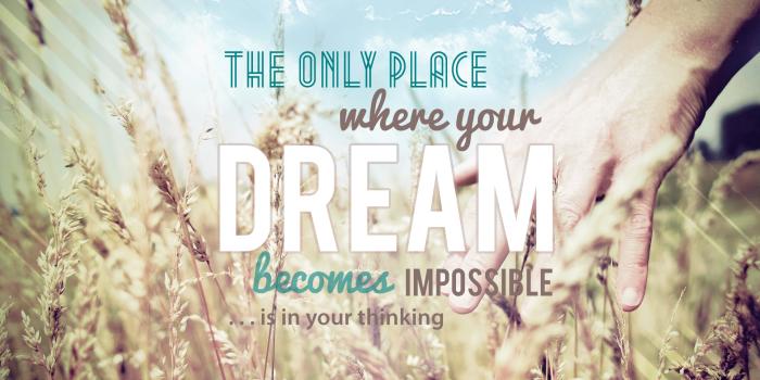 1920x1200 Hd Wallpaper, Backgrounds, Tumblr Backgrounds, Cat, - Quotes