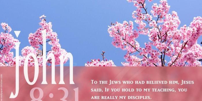 1024x768 Bible Verses Backgrounds