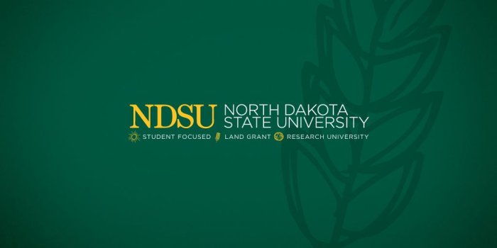 1024x768 Wallpaper | University Relations | NDSU