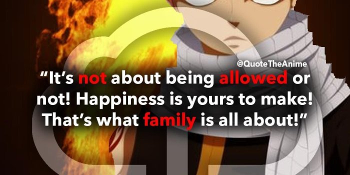 1080x1920 43+ POWERFUL Fairy Tail Quotes NEW with HQ Images (2019) | Fairy