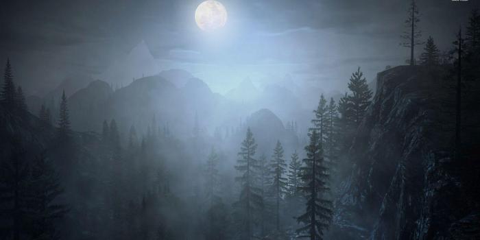 1920x1080 Night Forest Wallpapers