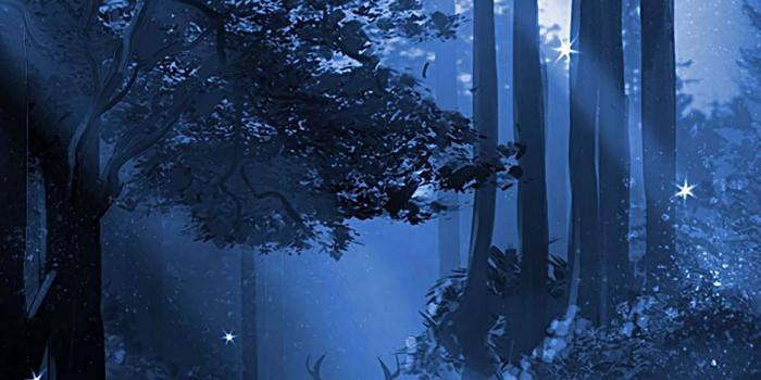 938x1668 Wallpaper Deer, Silhouette, Forest, Art, Night - Night Forest