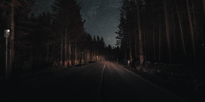 3840x2160 Night Wallpaper Forest - 3840x2160 Wallpaper - Ecopetit.cat