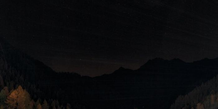 1000x1500 Night Forest Pictures | Download Free Images on Unsplash