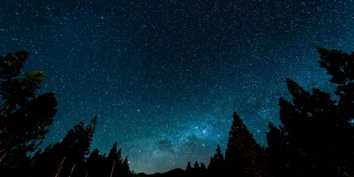 1366x768 Night Sky Forest Wallpaper Desktop | Forest wallpaper, Night sky