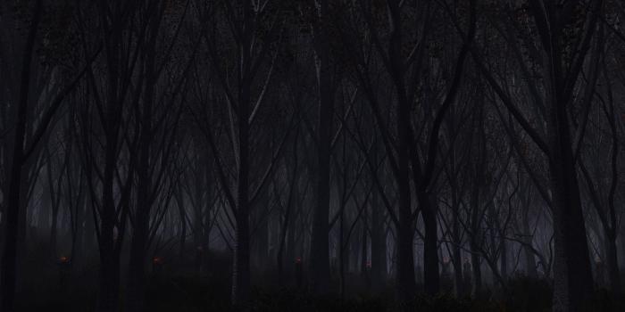 2560x1600 Creepy Forest Wallpaper (66+ images)
