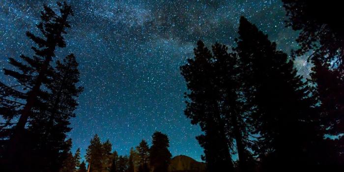 1920x1080 Starry Sky over Night Forest HD Wallpaper | Background Image