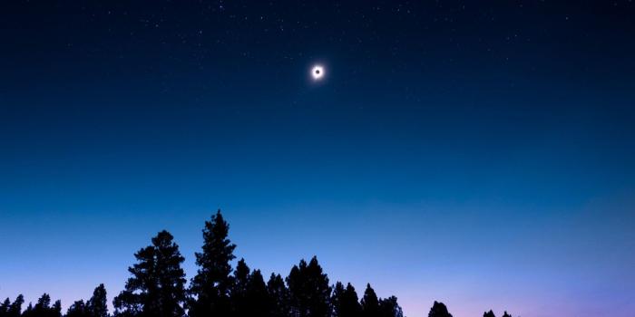 1366x768 Night Sky Forest Wallpaper Hd, Best Wallpaper Hd, Images - Forest