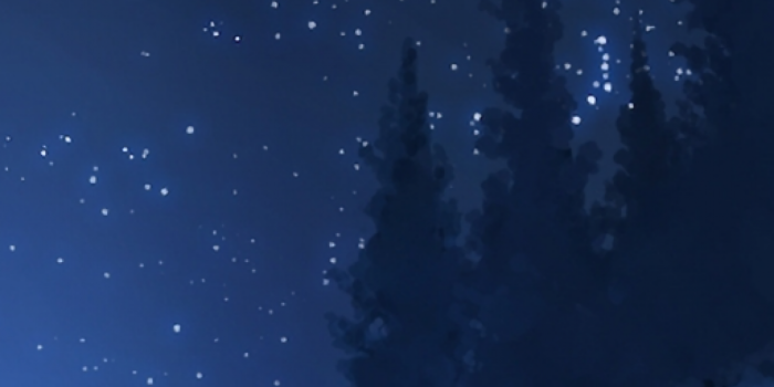 1125x2436 Download 1125x2436 Anime Landscape, Forest, Night, Stars, Wolf