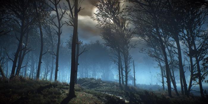 1920x1080 Trees in the forest at night graphic wallpaper HD wallpaper