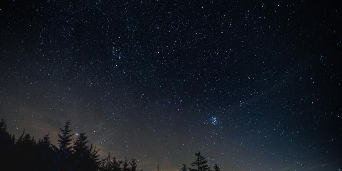 7000x4669 4505479 #trees, #nature, #starry night, #forest, wallpaper