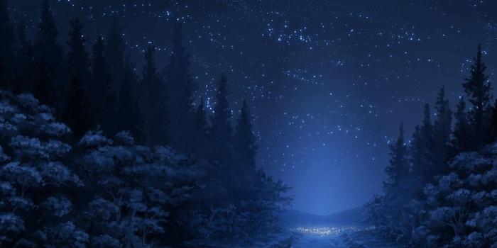 1920x1080 1920x1080 road, Stars, Night, Fox, Forest, Trees, Anime Wallpapers