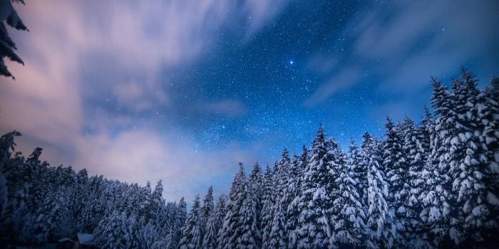 1920x1200 Wallpapers v.2.9 jpeg | max full, Night forest