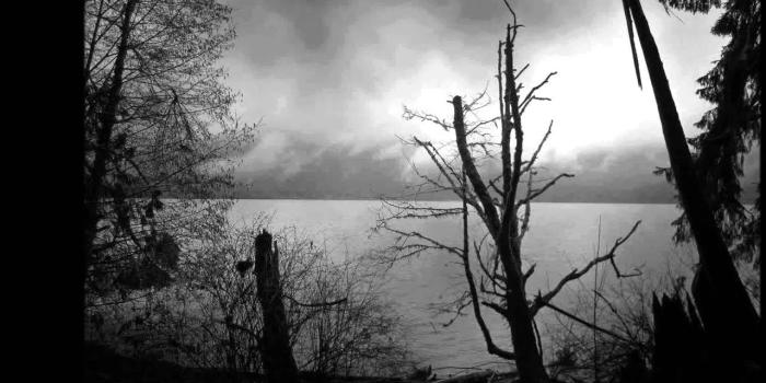 1280x720 Best 46+ Dsbm Wallpaper on HipWallpaper | Dsbm Wallpaper,