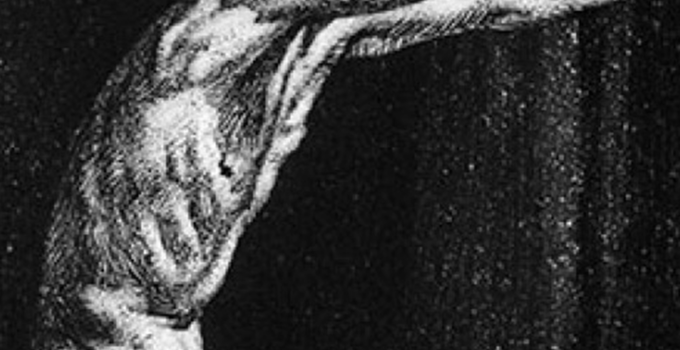 680x1209 Metal Phone Wallpapers - Android [1080x1920] | Exercise in