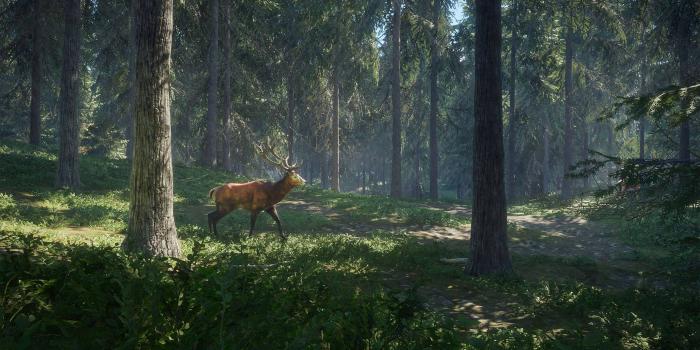 3840x2160 Hunting Wildlife Wallpaper-V747YGJ.jpg - Picserio.com