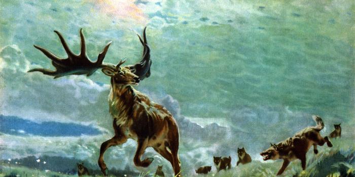 3624x2502 paintings wildlife artwork hunting zdenek burian wolves 3624x2502