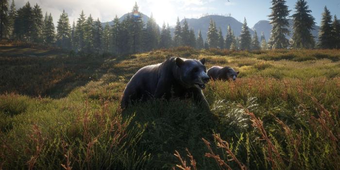 1920x1080 TheHunter: Call of the Wild Interview – Hunting Beasts