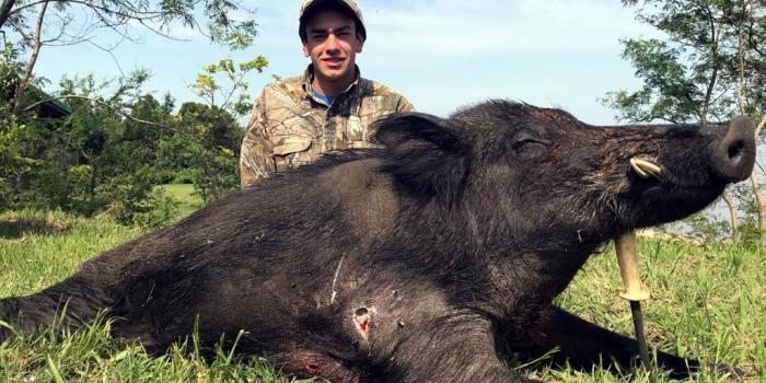 1024x768 Wild Boar hunting in Argentina