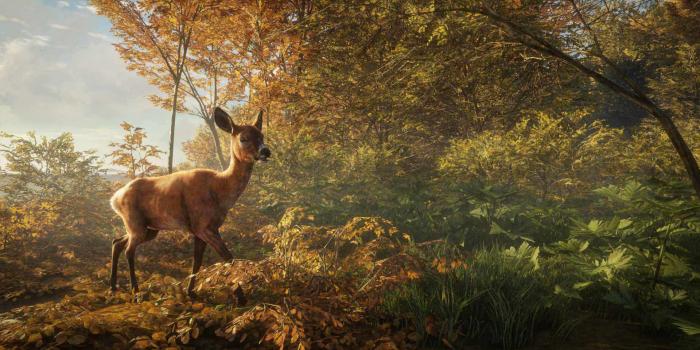 1920x1080 theHunter: Call of the Wild Game | PS4 - PlayStation