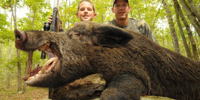 1200x797 Just How to Make Money Hunting Wild Hogs - JONPAULKAISER