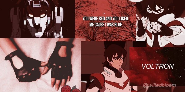 1080x1920 Maree LaFemina on Voltron | Voltron fanart, Voltron klance