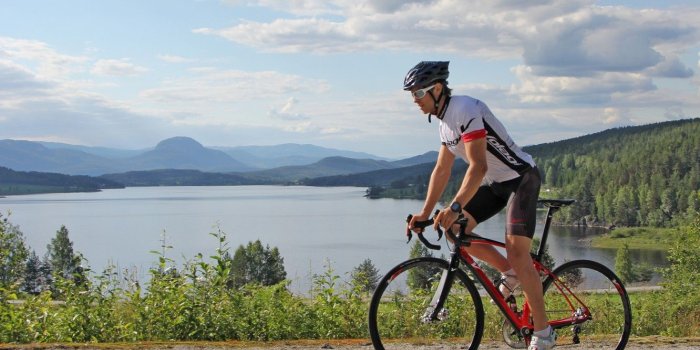 1332x850 Wallpaper lake, nature, sport, road, cyclist, road bike, road