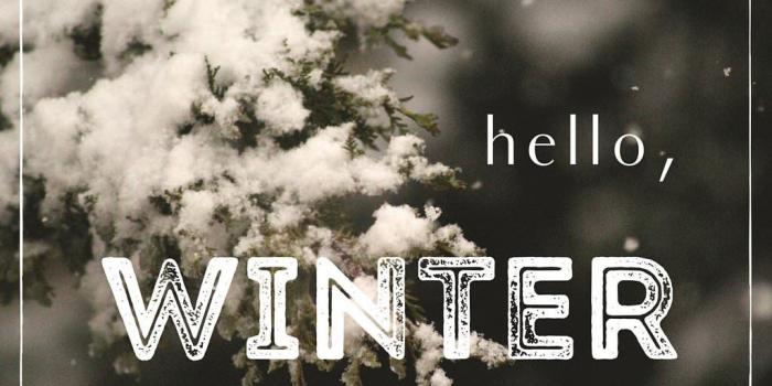 1024x768 Hello,Winter. On nature image with snow on a tree.