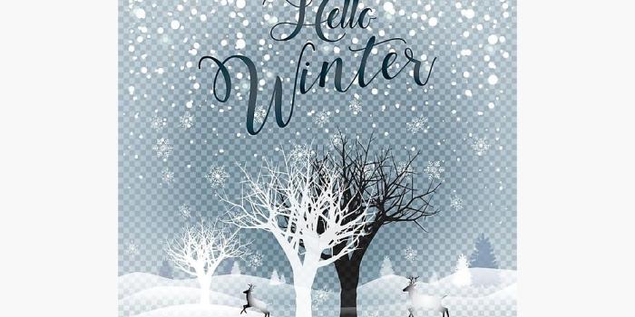 1000x1000 Hello Winter Holiday Reindeer Snowy Forest Wallpaper for Gifts, T