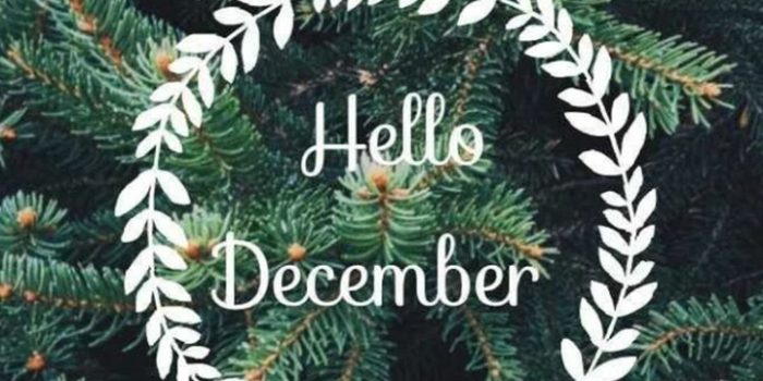 720x1280 hello december, winter wallpaper, wallpaper and hello winter