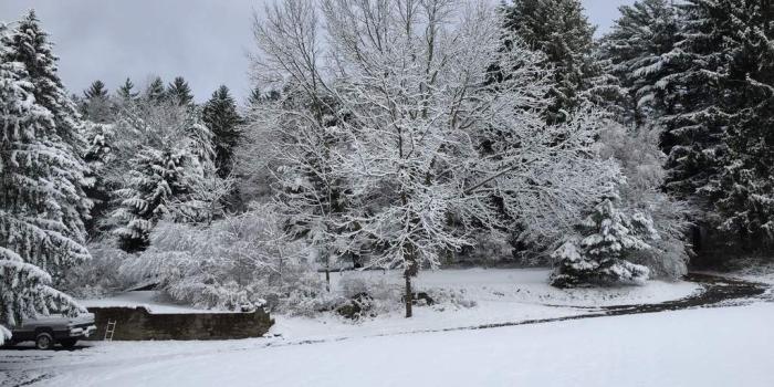 1024x768 Hello, Winter - Snow (#1903682) - HD Wallpaper & Backgrounds Download