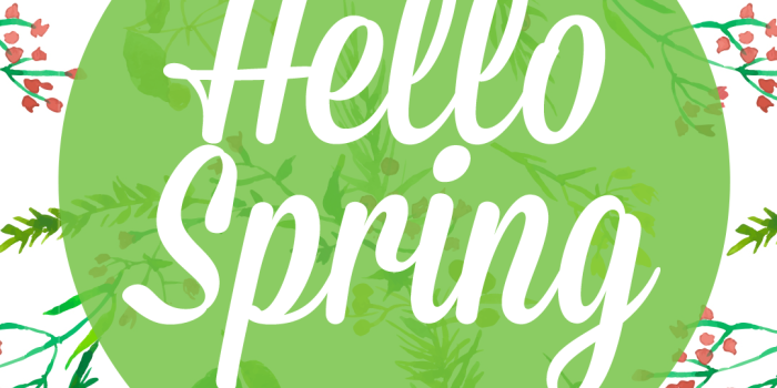 1080x1920 Desktop Wallpapers | Sweet Mint