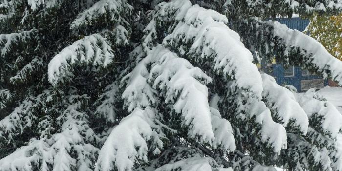 1024x768 Hello, winter! | This morning, 3 October 2018, I woke up to …