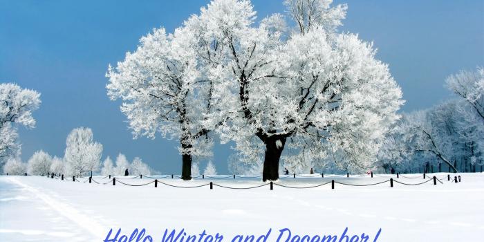 1920x1200 December Nature Wallpapers - Top Free December Nature Backgrounds