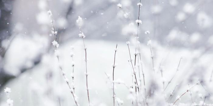 3888x2592 Romantic Winter Wonderland Desktop HD Wallpapers Background HD