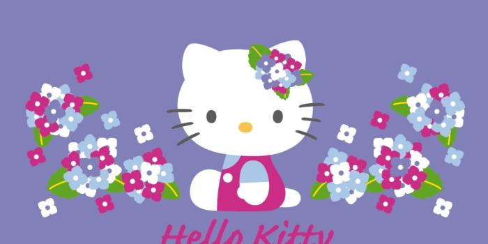 2560x1920 Hello Kitty Winter Wallpaper (69+ images)
