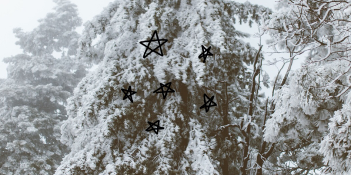 1151x2048 Cold Spring Asad Pablo - 1151x2048 Wallpaper - Ecopetit.cat