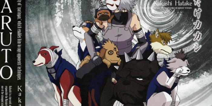 1332x850 Wallpaper dogs, katana, mask, Naruto, bandages, ninja, sensei