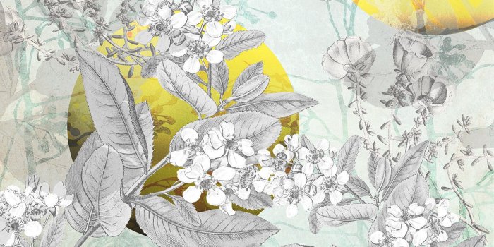 1429x2000 Vliestapete 'Golden Sun' (RSX4-019) von Komar