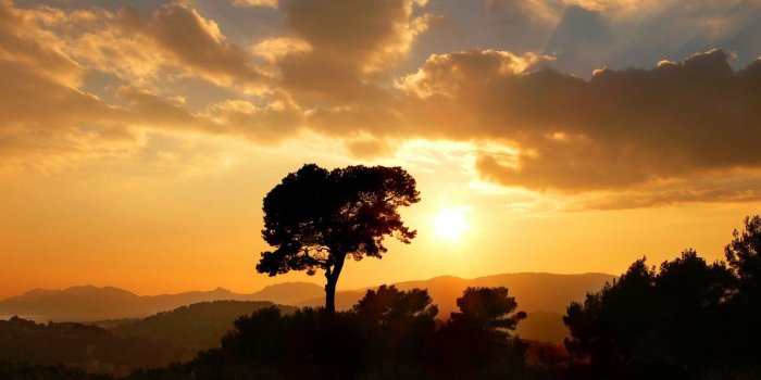 1332x850 Wallpaper Sunset, The sun, Clouds, Tree, Golden Sun images for