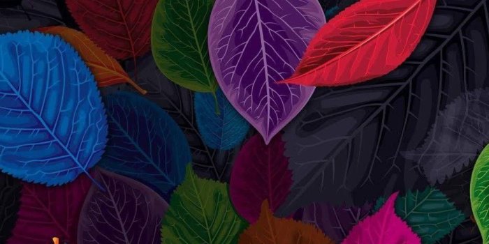 934x1920 Colorful leaves | Colorful wallpaper, Flower wallpaper, Cellphone