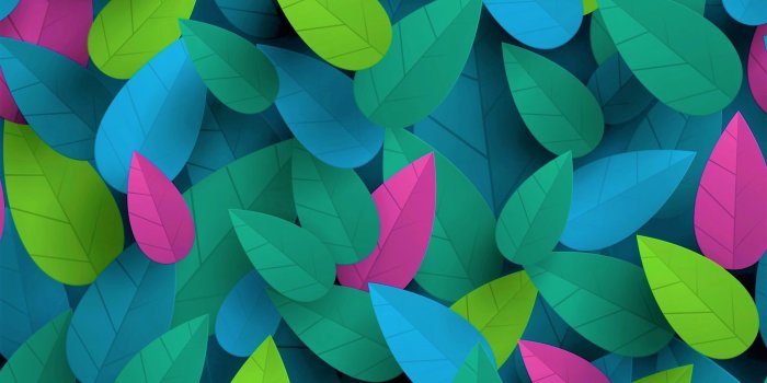 2560x1600 Colorful Leaves HD Wallpaper | Background Image | 2560x1600 | ID