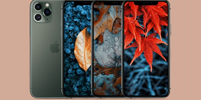 3000x2192 Fall colored autumn leaves wallpapers for iPhone