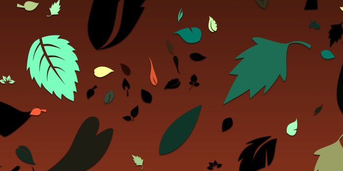 1920x1920 Wallpaper,color,leaves,red,gradient - free image from needpix.com