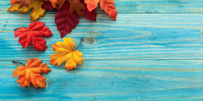 1920x1200 Assorted-colored maple leaves, leaves, fall, wooden surface HD