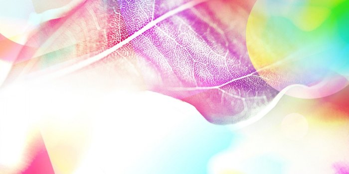 1920x1200 Colored Leaves 7 - Phone wallpapers
